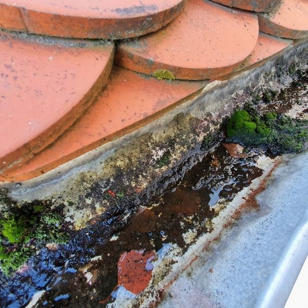 Dirty roof gutter in Perth filled with debris and water before gutter cleaning and repair work by Roofing Guys Perth.